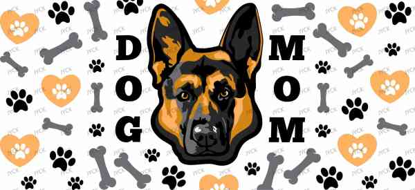 Y4793